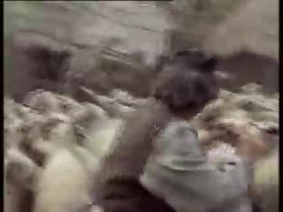 ΑΛΛΑΛΟΥΜ - ΧΑΡΥ ΚΛΥΝ