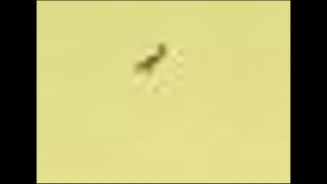 287 Un pajaro dibujado en un crater de Marte 287 Un pajaro dibujado en un crater de Marte
