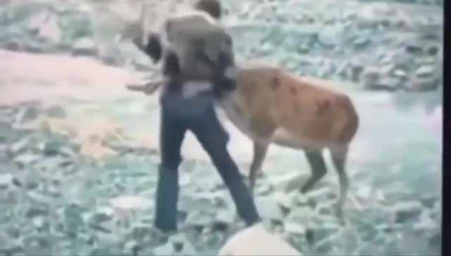 man jumps off helicopter and fights a deer