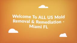 ALL US Mold Removal & Remediation in Miami FL : Home Inspector