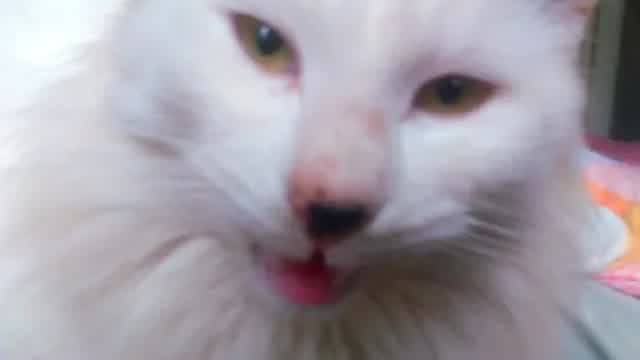 gmod_test01 gmod_test01