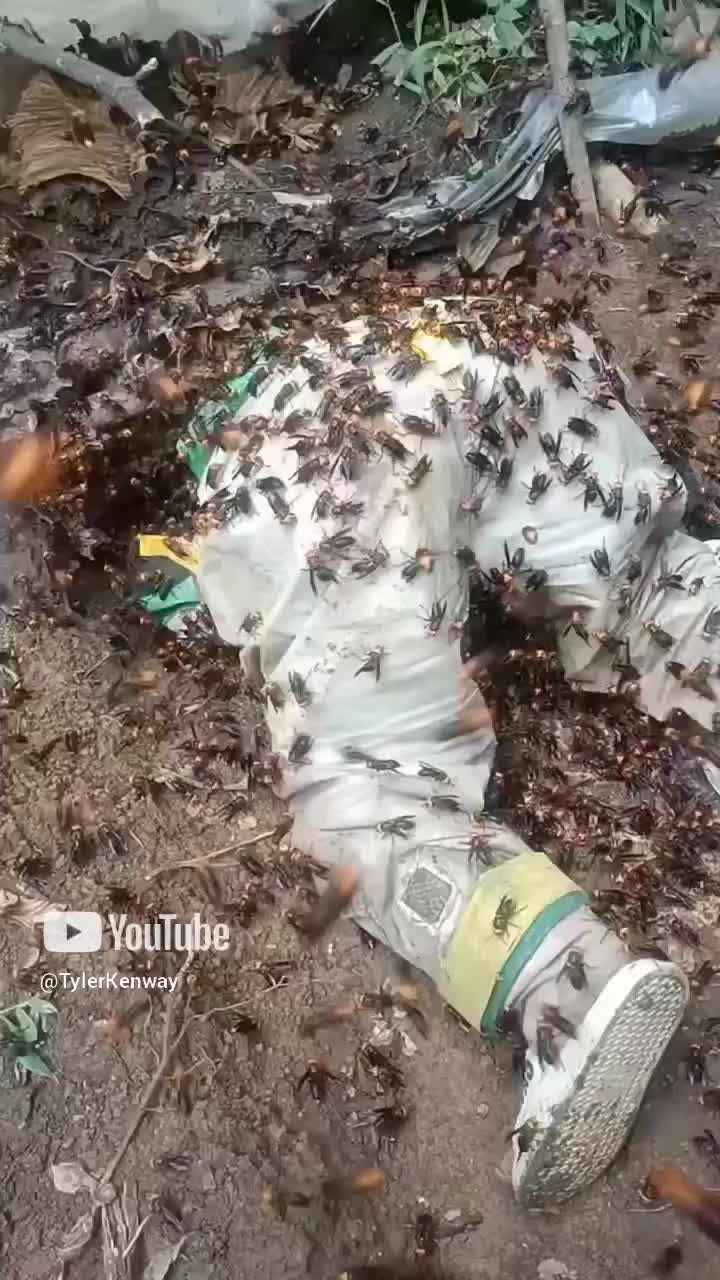 Would you do this