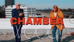 Bad Bunny Chambea