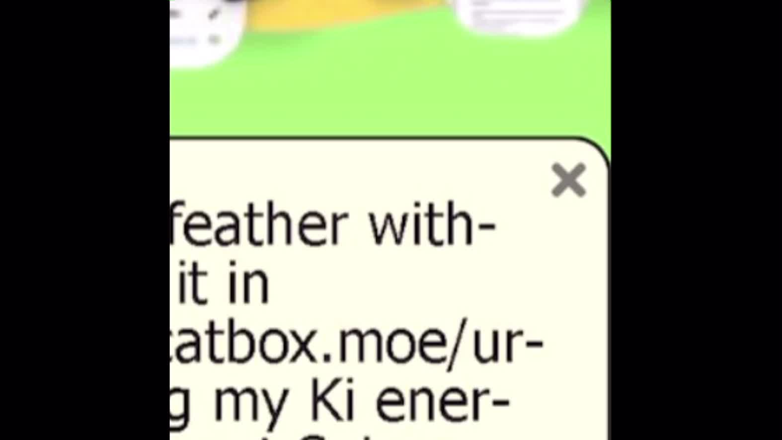 I didn’t touch the feather!