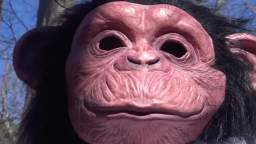 Mumkey's Declassified Love Survival Guide - Mumkey's Declassified Survival Guides S1E05 Mumkey's Declassified Love Survival Guide - Mumkey's Declassified Survival Guides S1E05