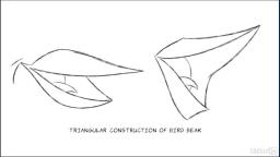 2D Animation: Tips and Tricks - Chapter 2: Bird beaks