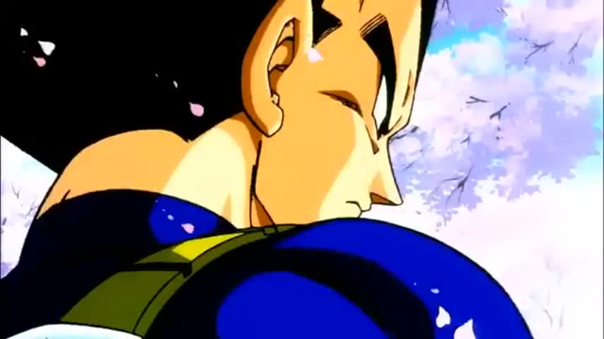 broly.veg (proyecto que nunca acabé)