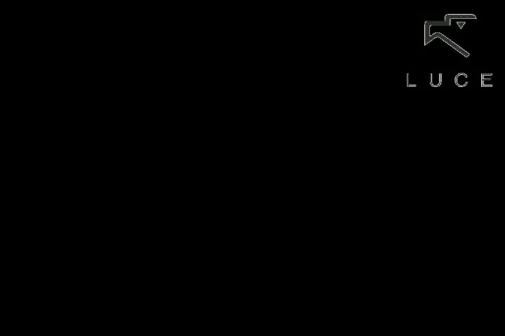 STATVTO DI ITALICA STERCOPVBBLICAZIONE