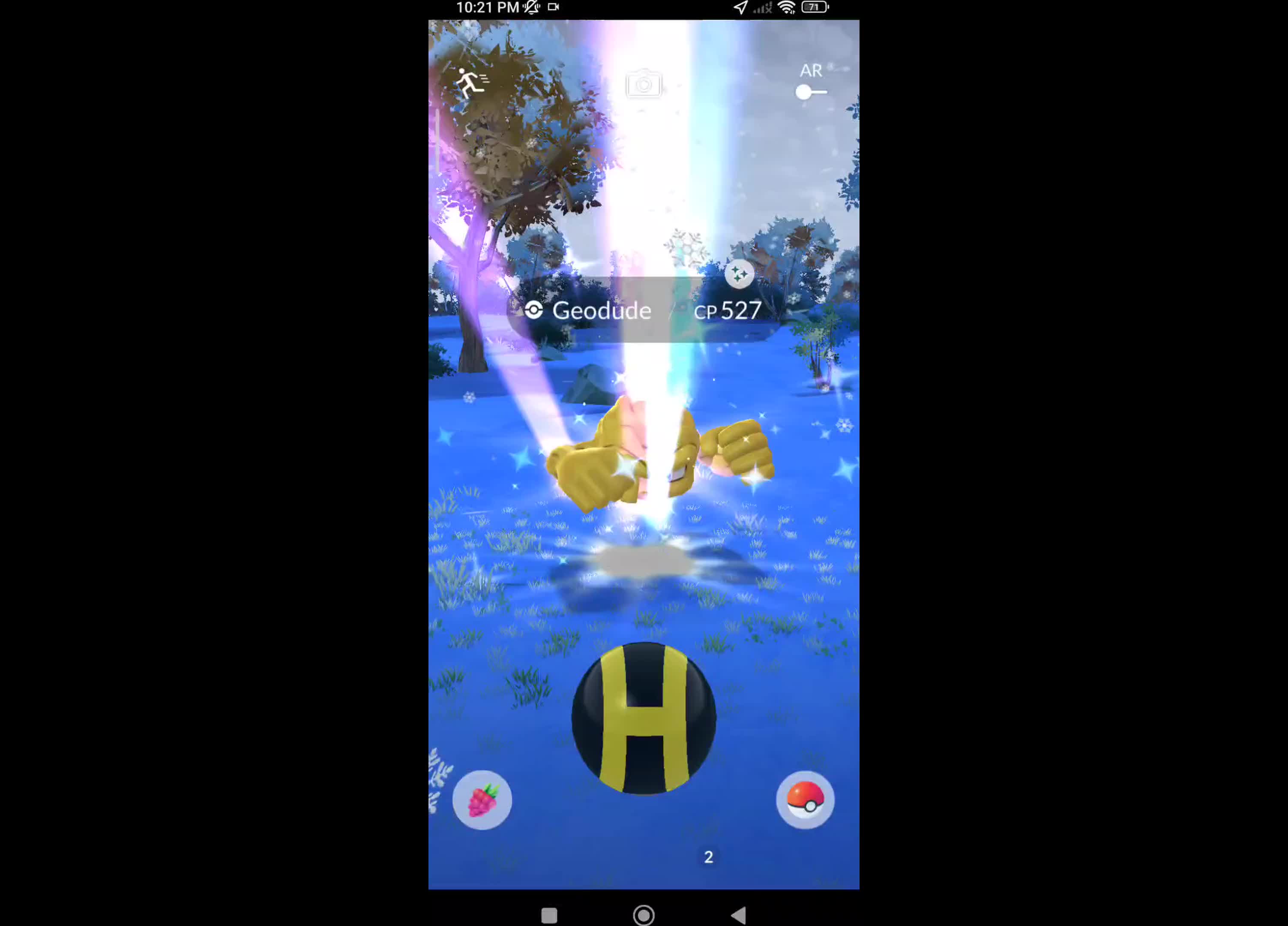 Pokémon GO-Shiny Geodude