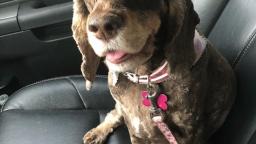 1738 ( NEW MUSIC VIDEO )