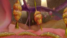 Unknown 2023.10.06-03.01-1