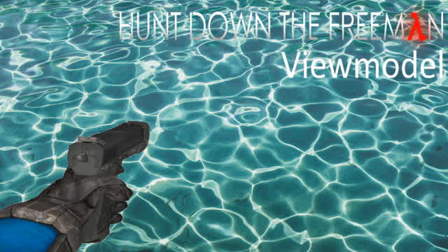 Hunt Down The Freeman ever just wanted to change your viewmodel