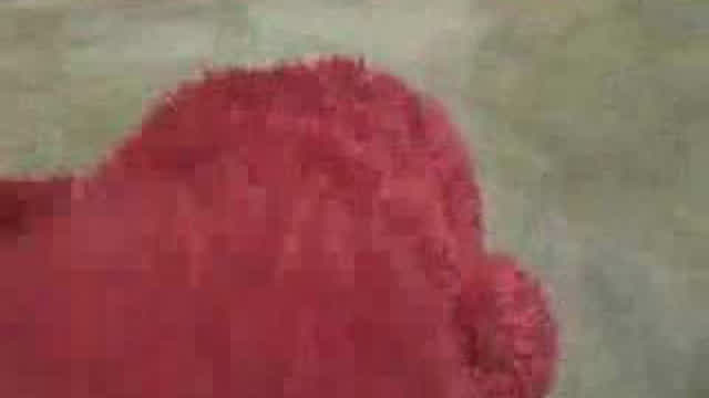 Mario Interview - 'Elmo' Mario Interview - 'Elmo'
