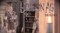 Let´s Play Dragon Age Origins #40 - Bruder Suche
