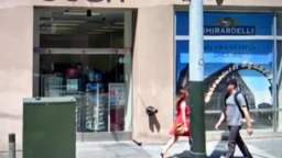 Major chain stores and brands are fleeing San Francisco, where constant theft and vandalism has beco