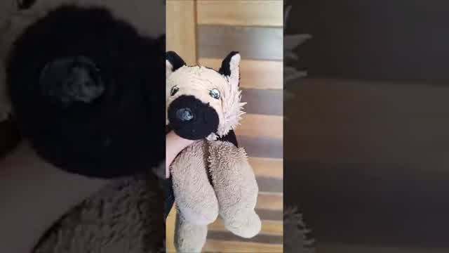 Qué Onda Cochina tiene este Cerrajero Qué Onda Cochina tiene este Cerrajero