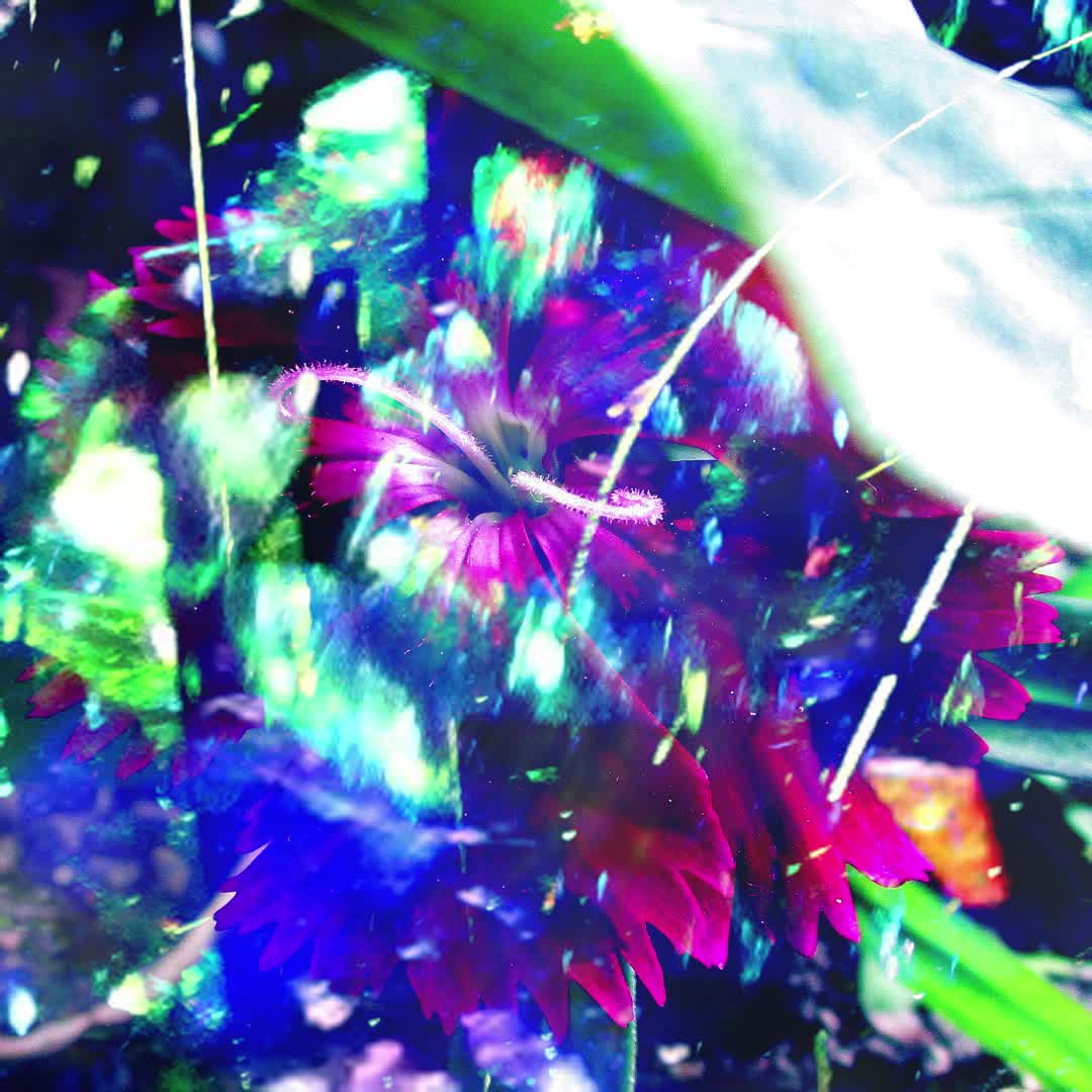 Calm Night Calm Night