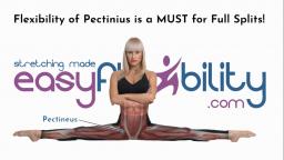 Flexibility of Pectinius is a MUST for Full Splits!