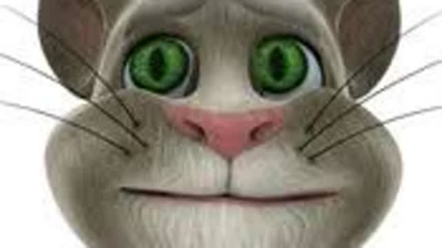 talking tom video