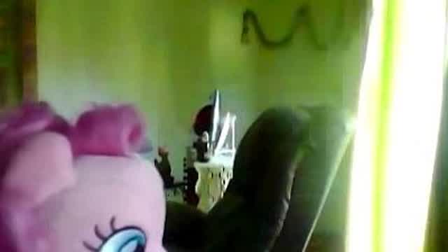 Pony Mating Season