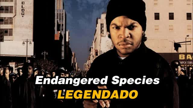Ice Cube ft Chuck D - Endangered Species (Legendado)