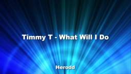 Timmy T - What Will I Do (Lyrics)