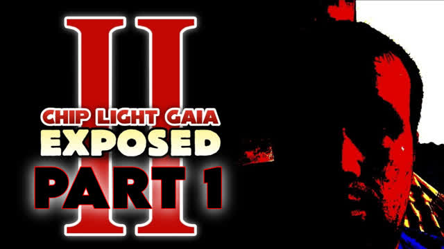 Chip Light Gaia / Charmy Bee EXPOSED - Chapter 2 / Part 1