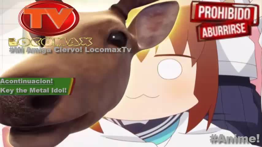 LocomaxTv Bolivia Anime Junio 2025