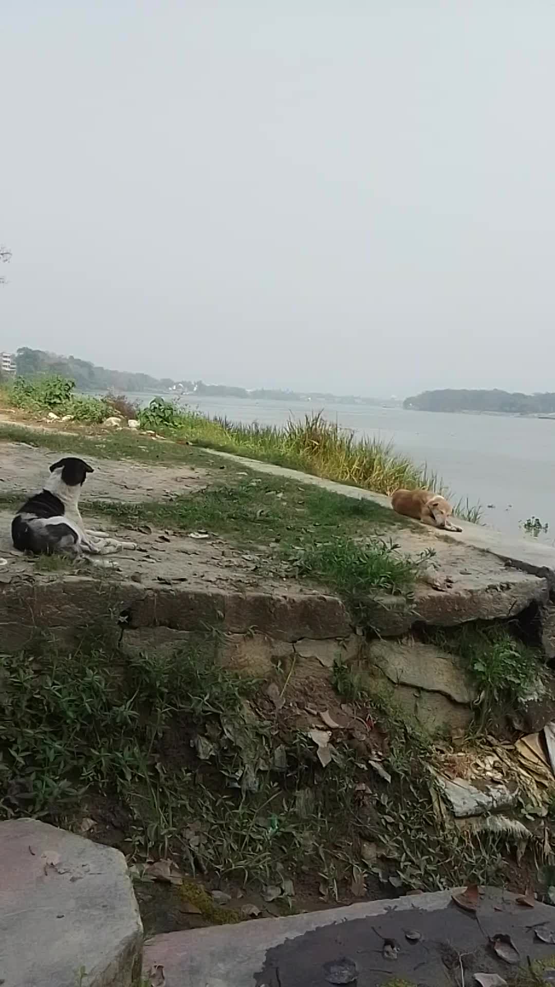 VID_20250226_113754