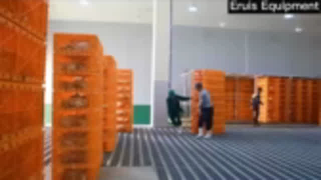 10000 chicken-killing assembly line you never saw
