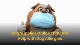Dog Supplies Online That Can Help with Dog Allergies