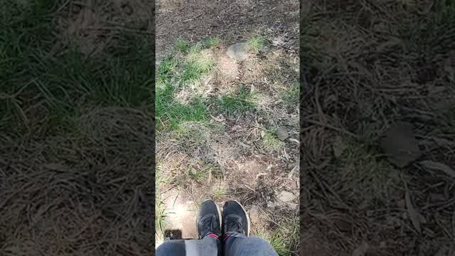 ¿Cómo has estado en el Examen, We? ¿Cómo has estado en el Examen, We?