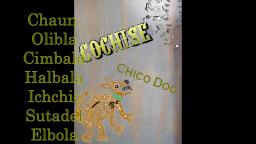 Cochise - Chico doo