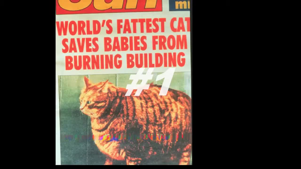 4chan Otakon 2005 intro