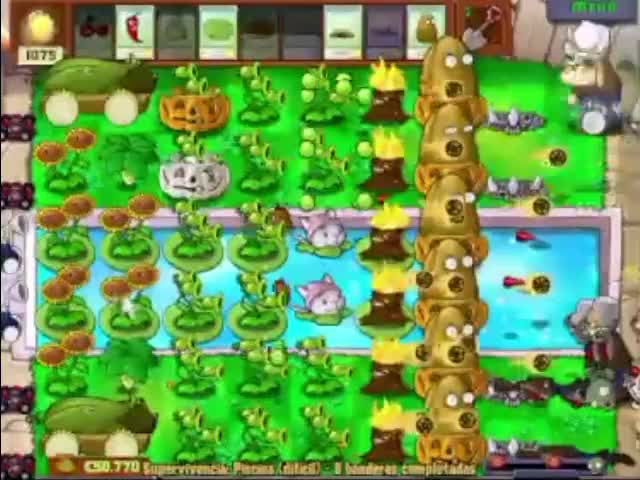 Plantas contra zombies - supervivencia piscina dificil (2/2)