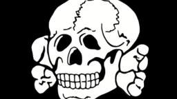 Totenkopf - National Socialist
