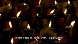 塔爾寺敬賀金剛總持南無第三世多杰羌佛