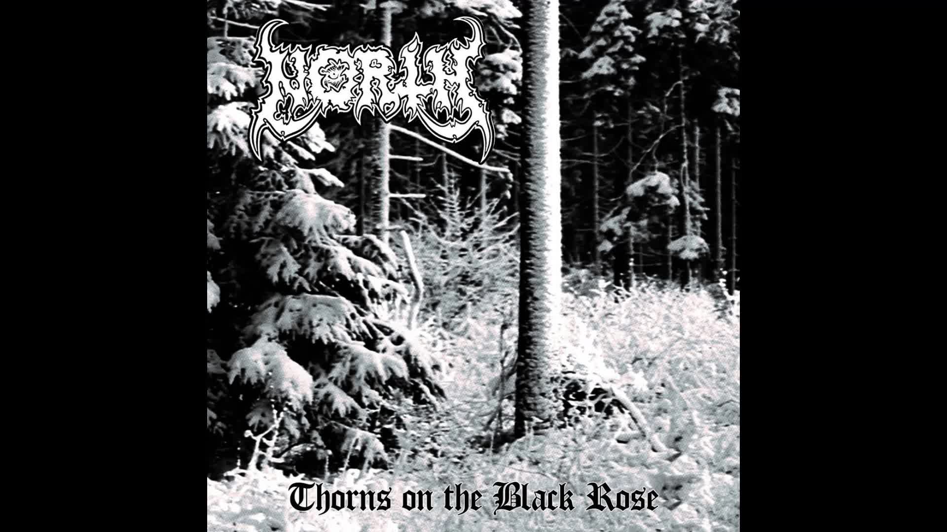 North - December Thoughts