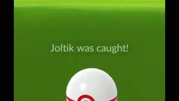 Pokémon GO-Shadow Joltik