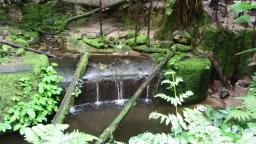 Burgers Zoo - Wasserfall