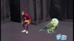 Chapolin - Não se Enrugue Couro Velho que te Quero pra Tambor