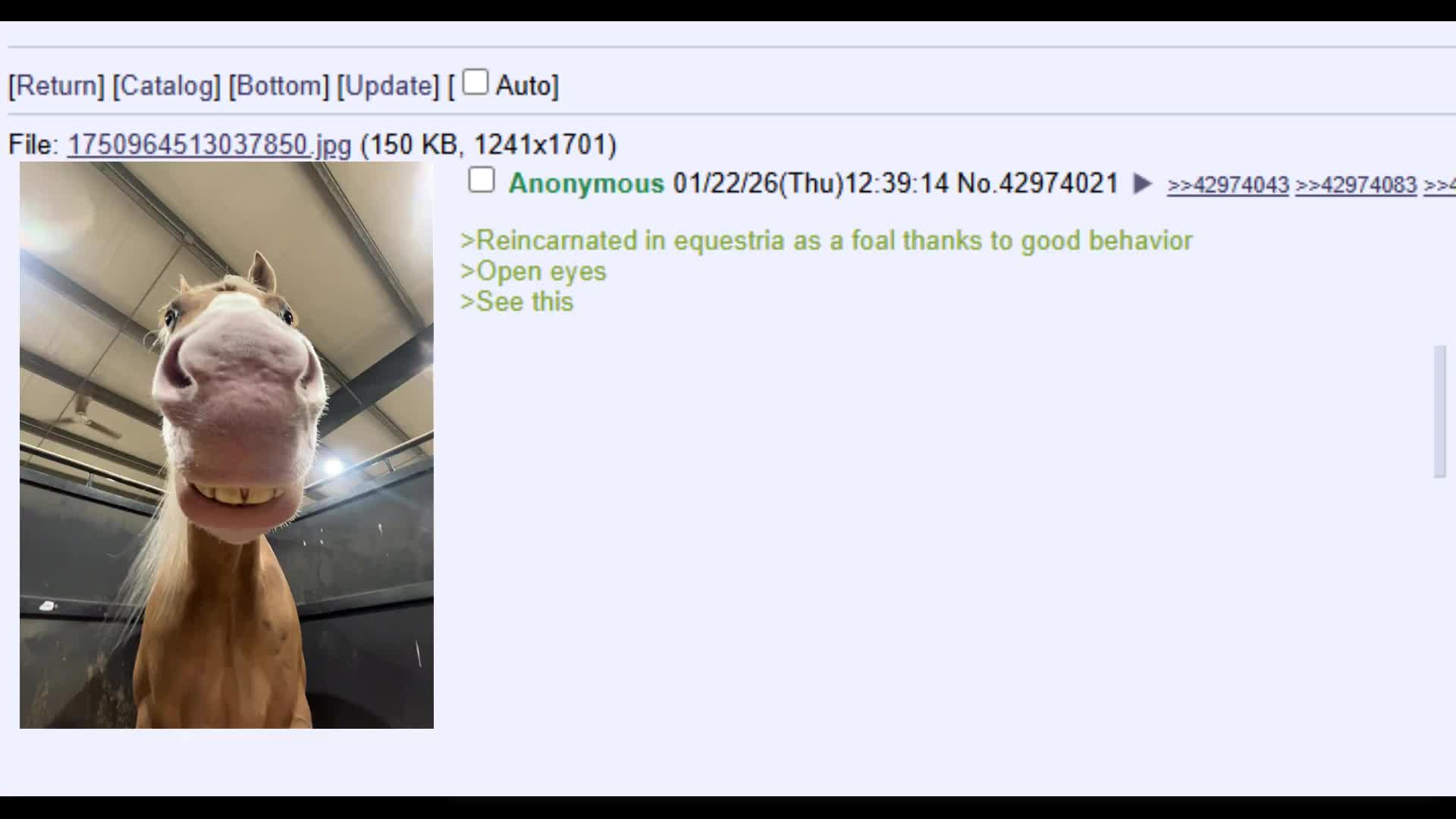 Pony Thread Simulator 27