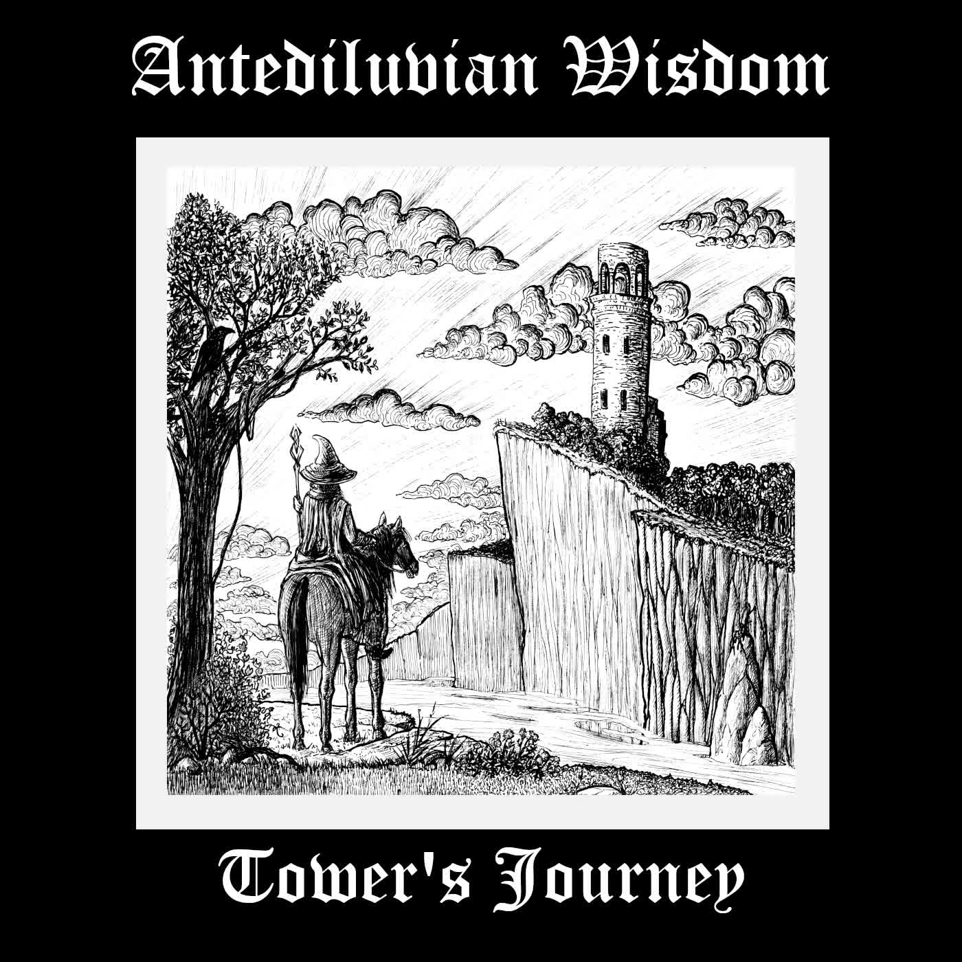 The Wizard's Travels