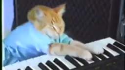 Keyboard Cat (1984/2007)