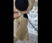 Cada_cosa_lleva_su_Tiempo.3gp