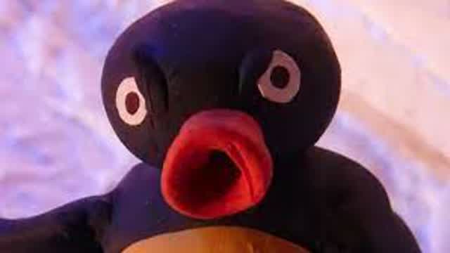 pingu comedy