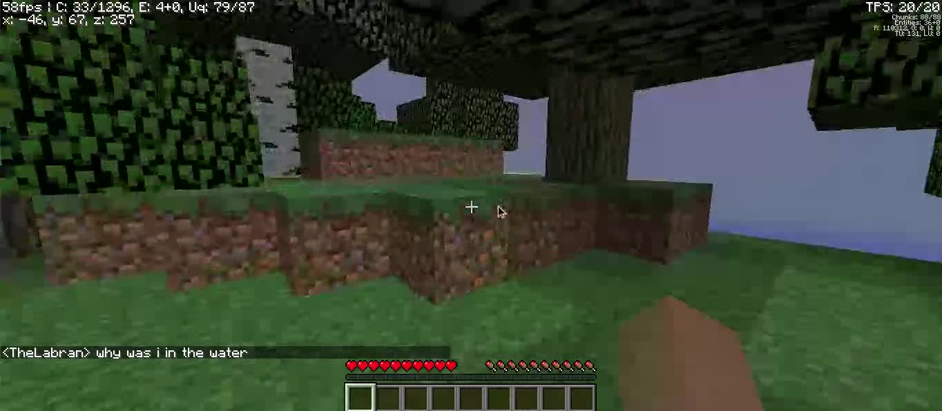 EXTREMELY short minecraft video