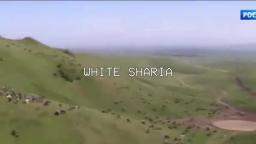 white_sharia