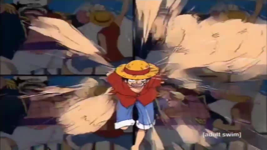 One Piece on Adult Swim (2010) (Verizon Fios)