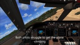 Health Problems - FSX 747 Crash